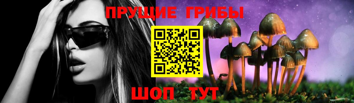 Галлюциногенные грибы MAGIC MUSHROOMS  Вход с VPN  Бутурлиновка 